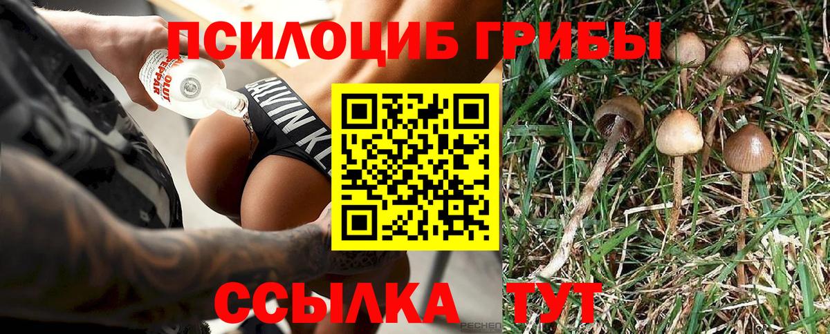 Галлюциногенные грибы Psilocybine cubensis  Вход с VPN  Янаул  Псилоцибиновые грибы прущие грибы 