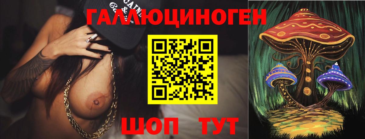 Галлюциногенные грибы Psilocybe Янаул